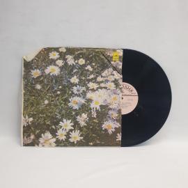 Мигель Рамос, орган Хаммонд  утра разветвлённая, темы любви, советская винтажная виниловая пластинка