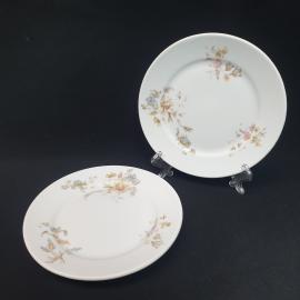 Пара антикварных блюдца, товарищество Кузнецов, фарфор, деколь, антиквариат