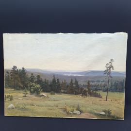 Винтажная картина Утренняя долина, холст, масло, 70х100 см, без рамы СССР