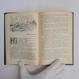 Картинка 6