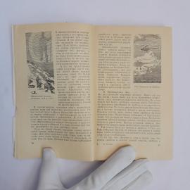 Картинка 6