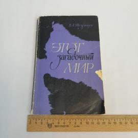 Картинка 8