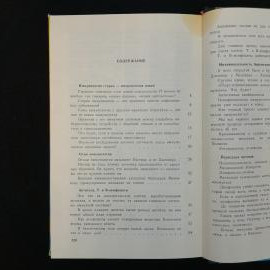 Картинка 5