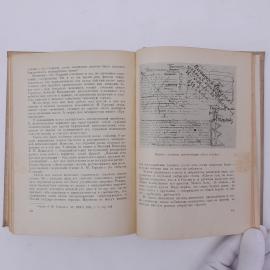 Картинка 7