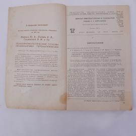 Картинка 4