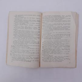 Картинка 5
