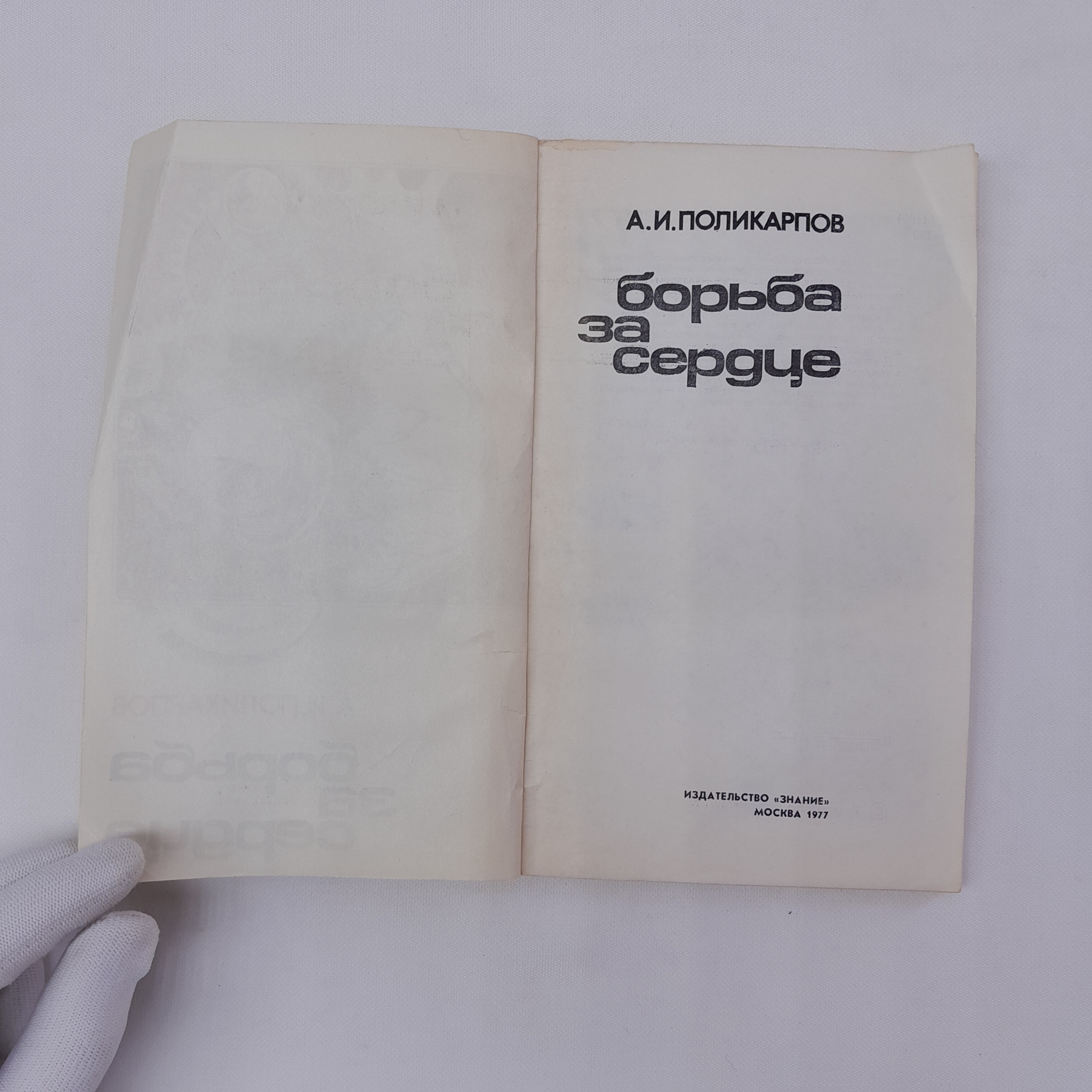 Картинка 3