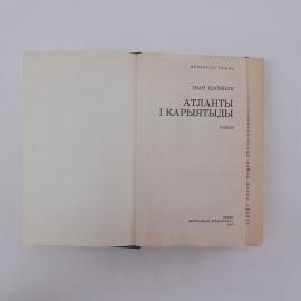 Картинка 4