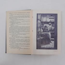 Картинка 6
