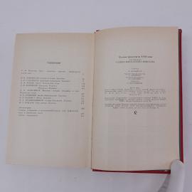 Картинка 6