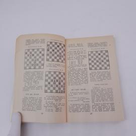 Картинка 6