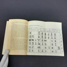 Картинка 8