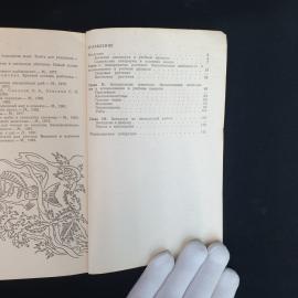 Картинка 5
