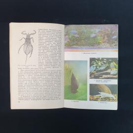 Картинка 6