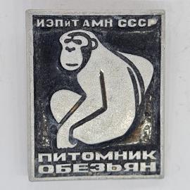 Значок СССР испит амн ссср питомник обезьян с изображением сидящей обезьяны, советский и винтажный