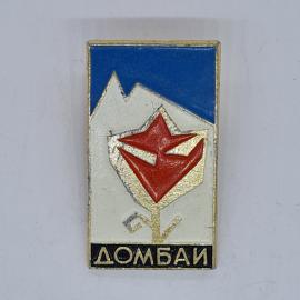 Значок СССР домбай, красный цветок, горы на синем фоне, эмаль, туристический, советский и винтажный
