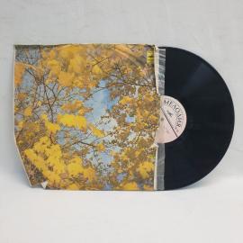 Тич Ин. Дин дон. Советская виниловая пластинка СССР. Вокально инструментальный ансамбль.