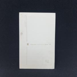 Картинка 2