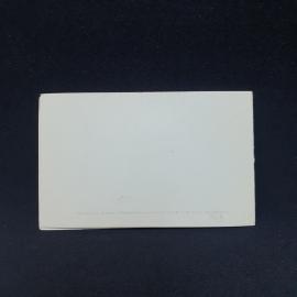 Картинка 3