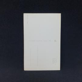 Картинка 2