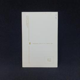 Картинка 2