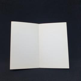 Картинка 2