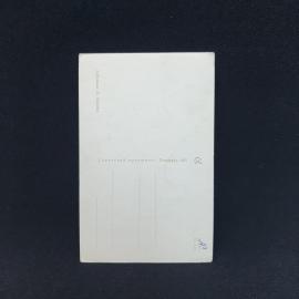 Картинка 2