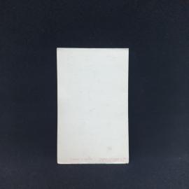 Картинка 3