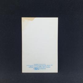 Картинка 2