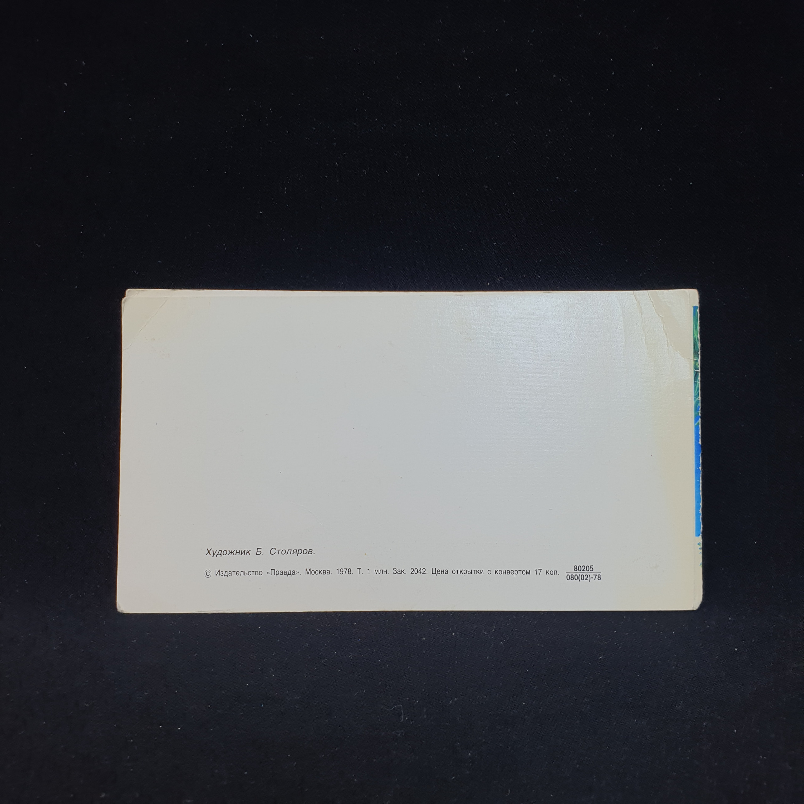Картинка 3