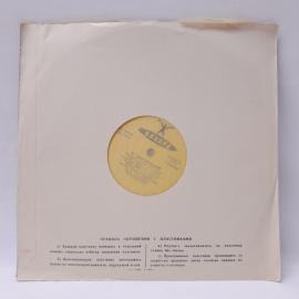 Картинка 6