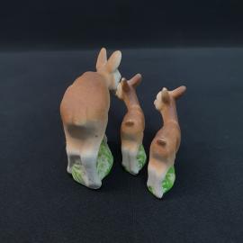 Картинка 5
