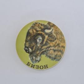 Значок СССР. Бизон, животное, фауна. Винтажный значек.