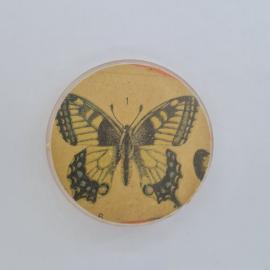 Значок СССР. Бабочка, природа, коллекционный сувенир. Винтажный значек.