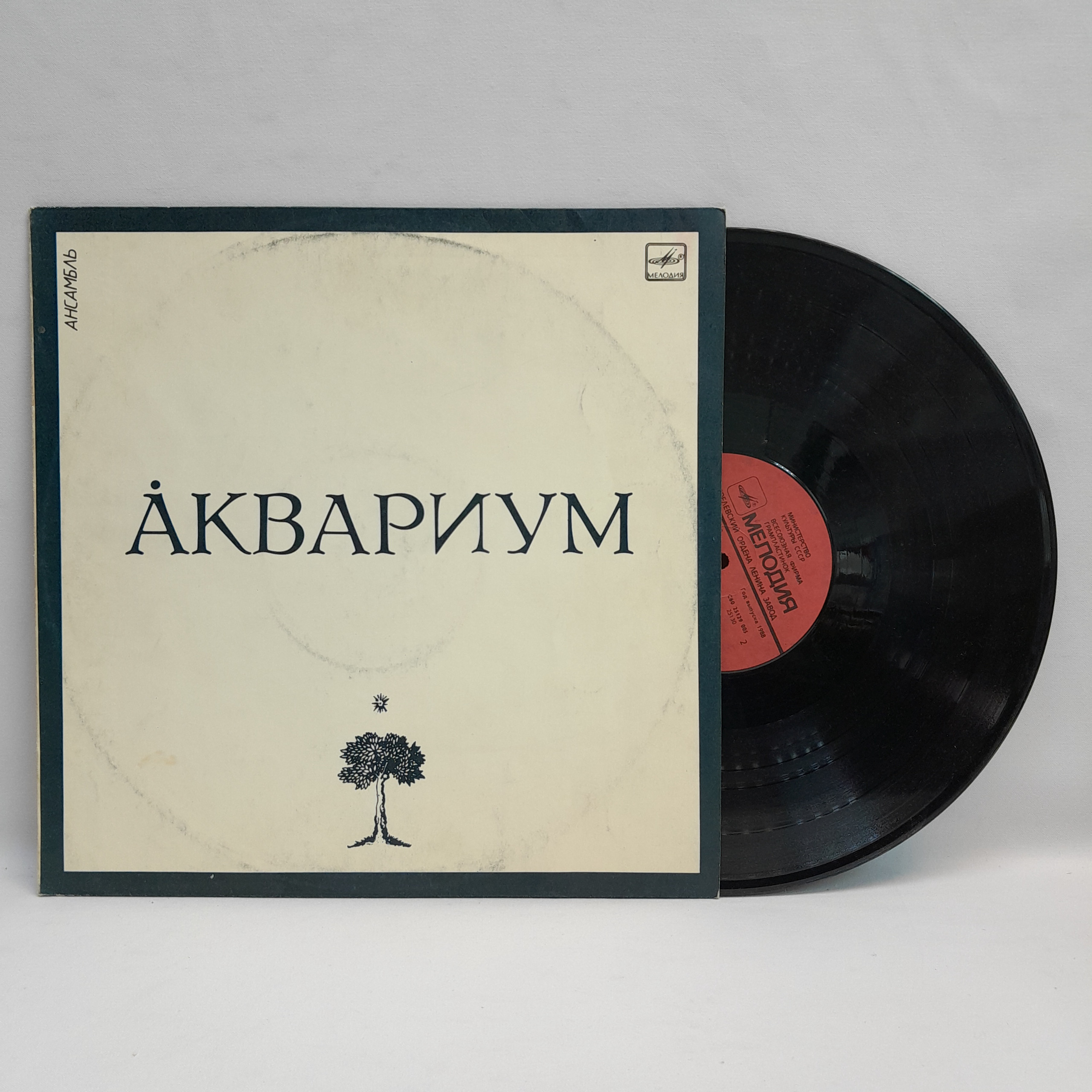 Картинка 1