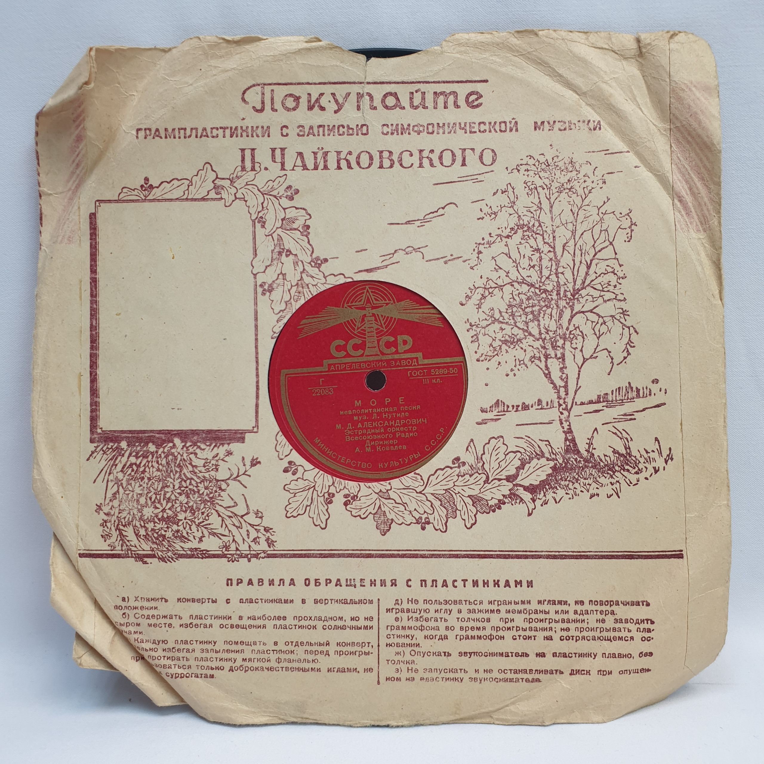 Картинка 6
