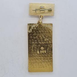 Картинка 2