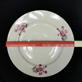 Картинка 5
