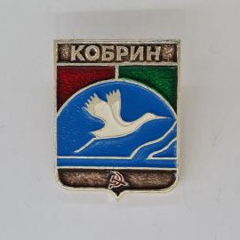 Значок СССР. Кобрин, город Беларусь, герб с птицей над рекой. Винтажный значек.