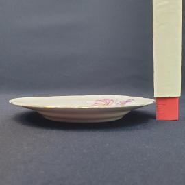 Картинка 6