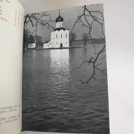Картинка 5