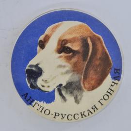 Значок СССР. Англо русская гончая, собака, охота. Винтажный значек.