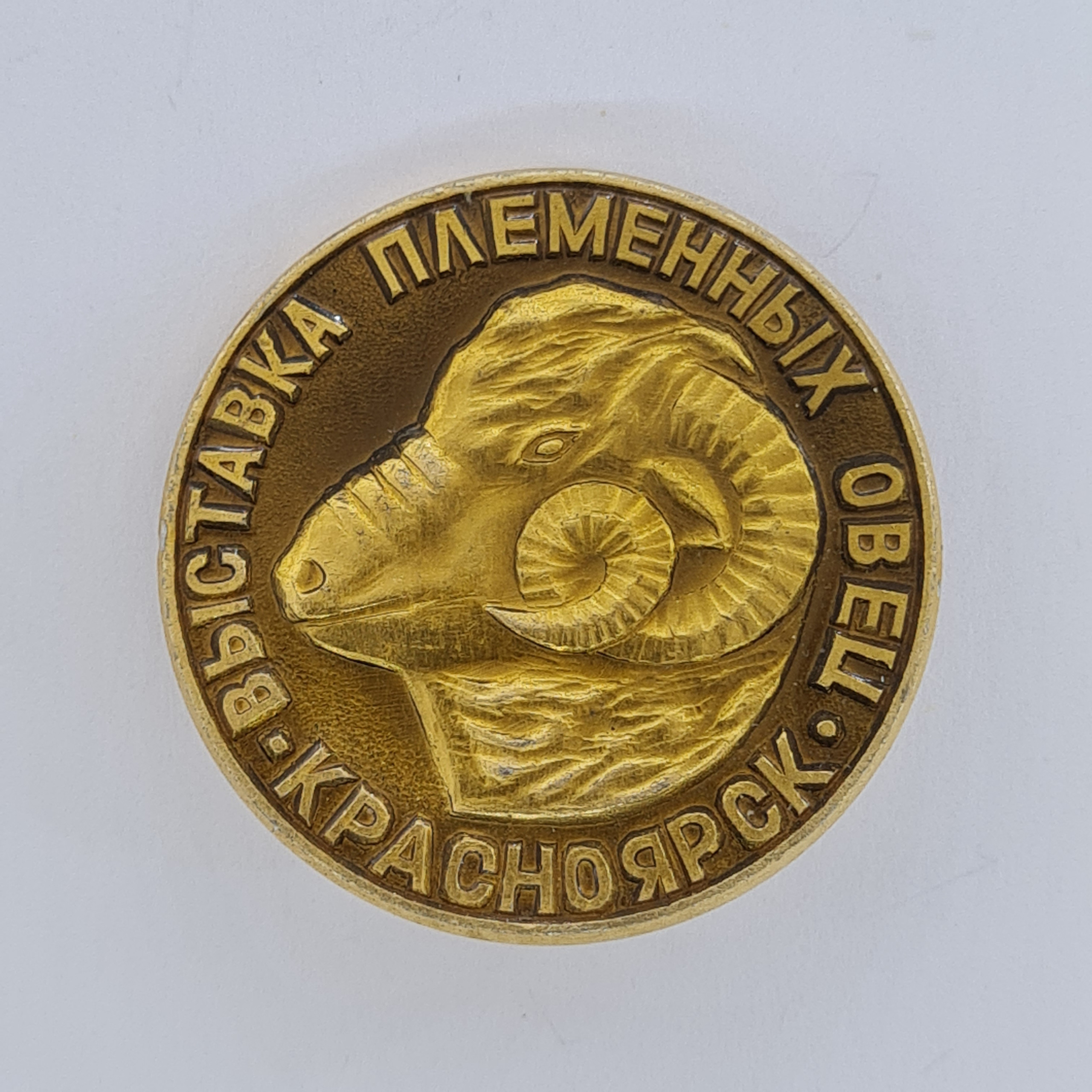 Картинка 1