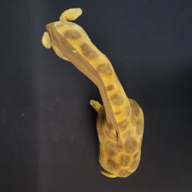 Картинка 5