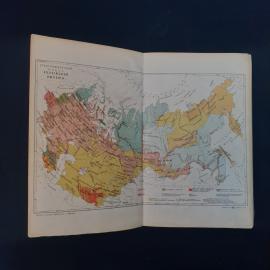 Картинка 8