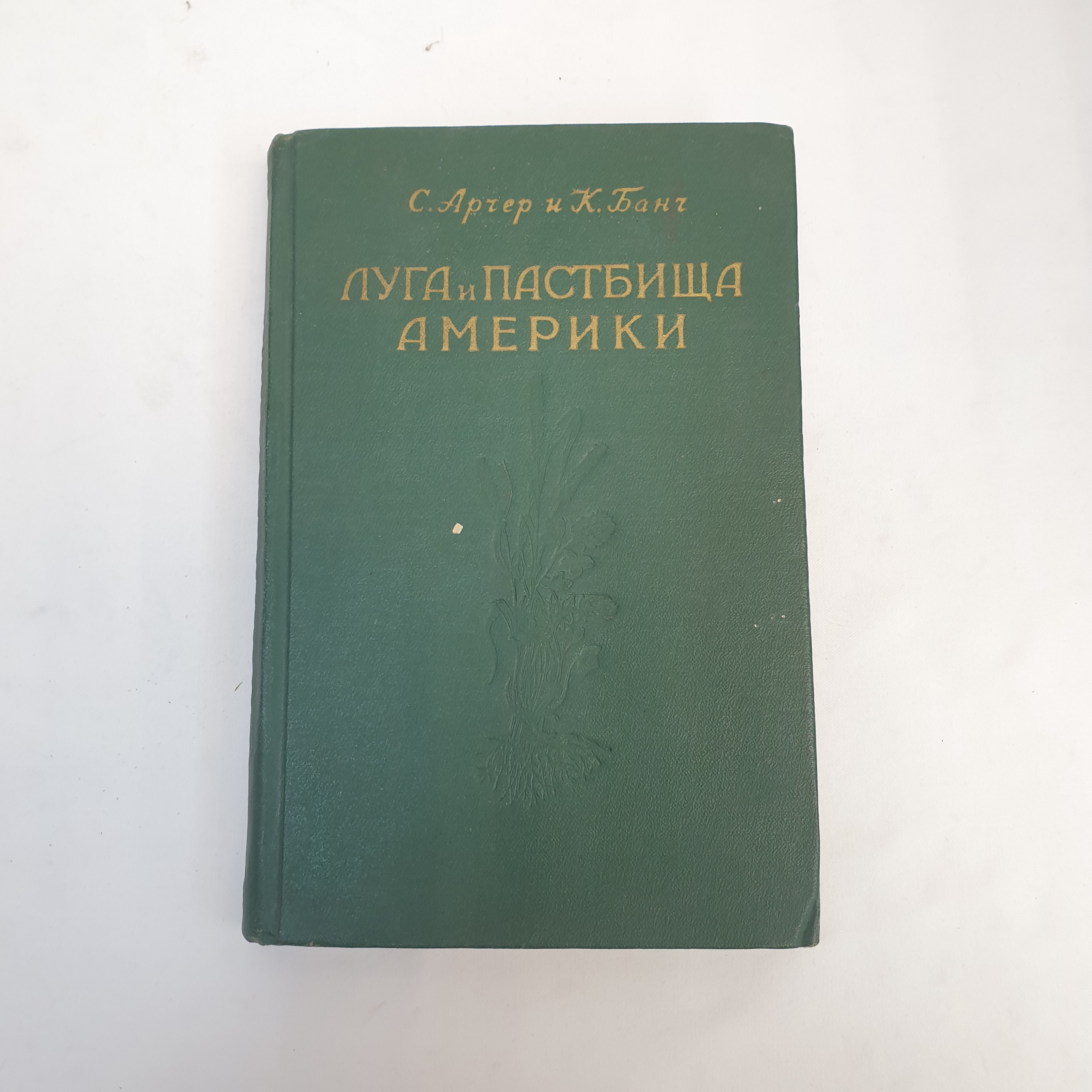 Картинка 1