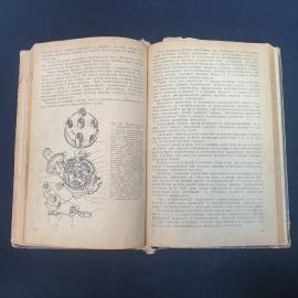 Картинка 6