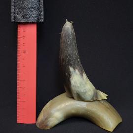 Картинка 8