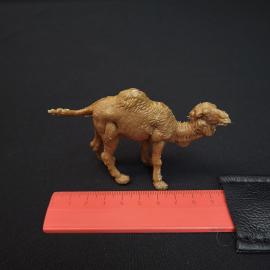 Картинка 7