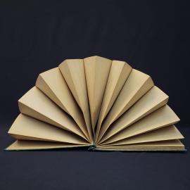 Картинка 3